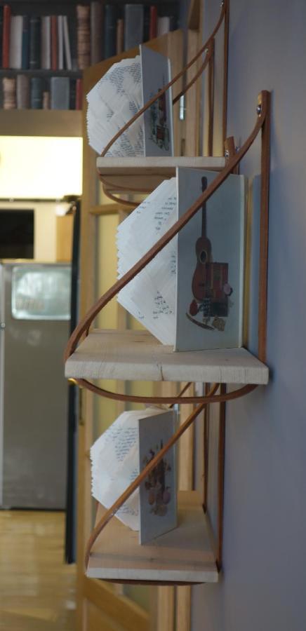 Le Bouquiniste, Centre Historique, Fibre, Ess, Rez-De-Chaussee, Bedinshop Romans-sur-Isère Dış mekan fotoğraf