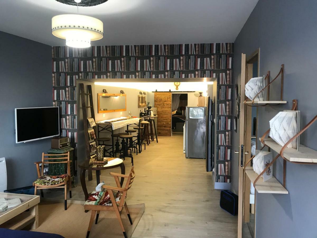 Le Bouquiniste, Centre Historique, Fibre, Ess, Rez-De-Chaussee, Bedinshop Romans-sur-Isère Dış mekan fotoğraf