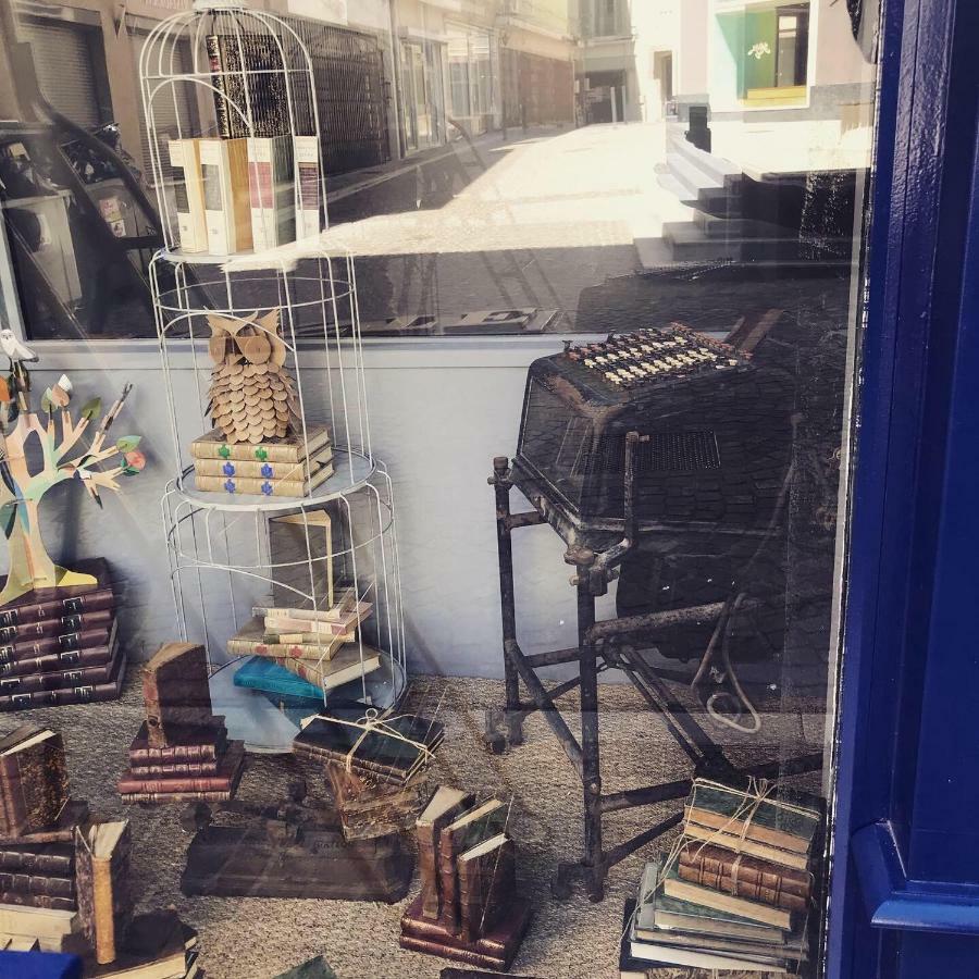 Le Bouquiniste, Centre Historique, Fibre, Ess, Rez-De-Chaussee, Bedinshop Romans-sur-Isère Dış mekan fotoğraf